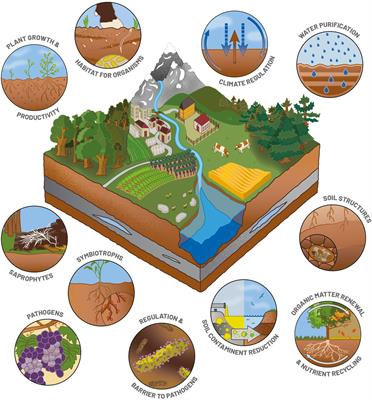 Potential of Meta-Omics to Provide Modern Microbial Indicators for Monitoring Soil Quality and Securing Food Production